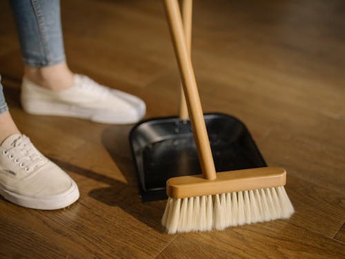 Nettoyage de bâtiments et parcelles