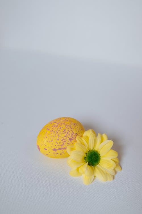 Free Pink and Yellow Easter Egg and Yellow Flower on White Surface Stock Photo