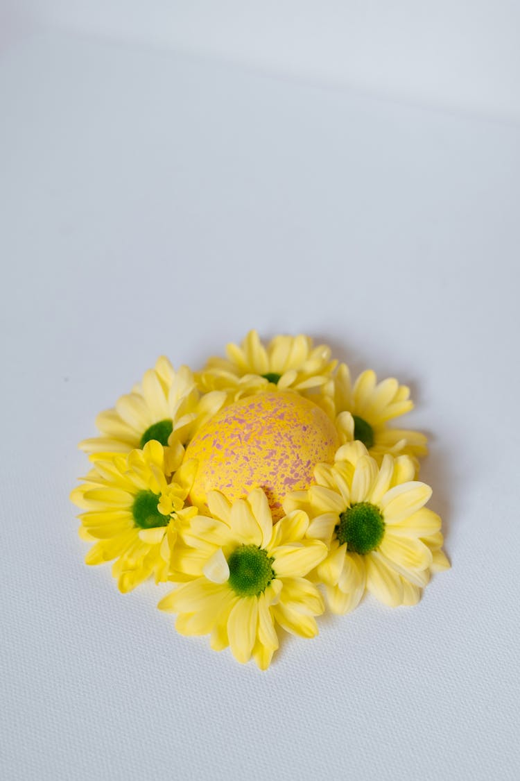 Yellow Flowers And Easter Egg On White Surface