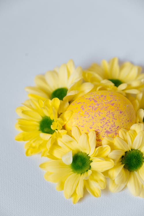 Yellow Flowers and Easter Egg on White Surface