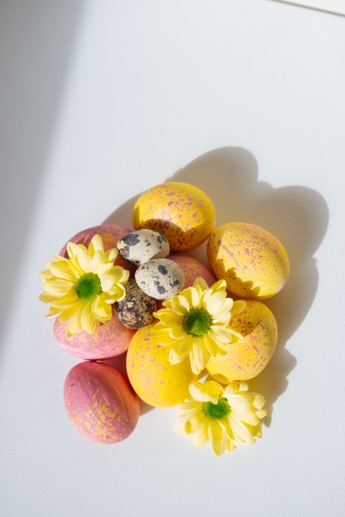Free Bright Easter eggs and yellow flowers create a festive spring still life on a white background. Stock Photo