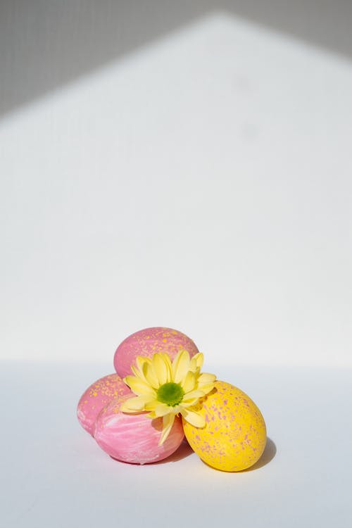 Imagine de stoc gratuită din floare galbenă, fundal alb, galben