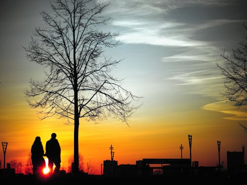 Twee Mensen Staan Naast De Boom