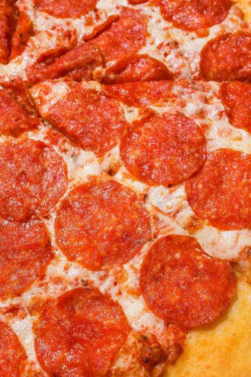 Rectangular Pizza · Free Stock Photo