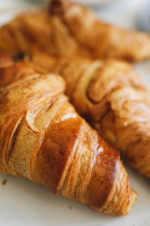 Free Delicious and flaky French croissants on a plate in a close-up view. Stock Photo