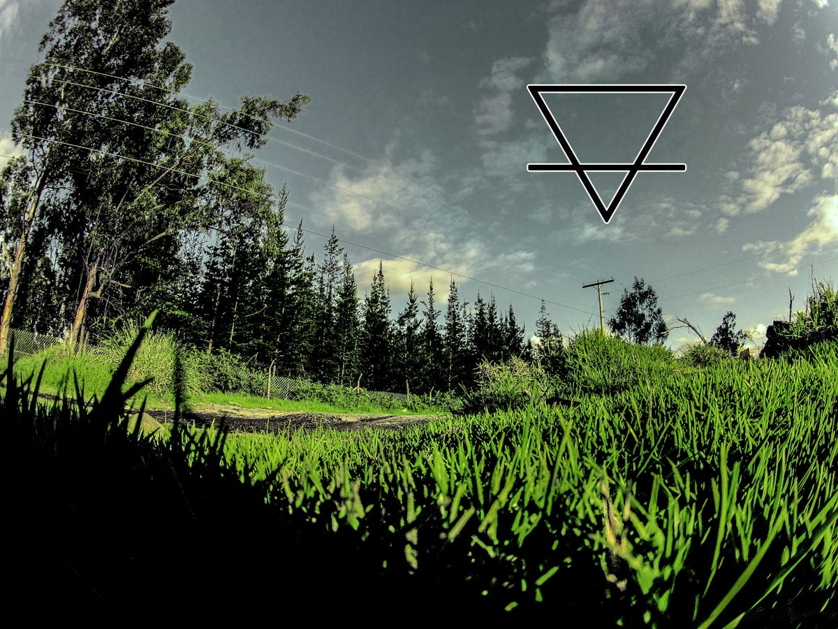 Finished grain bowl with salmon, avocado, roasted vegetables, and tahini drizzle