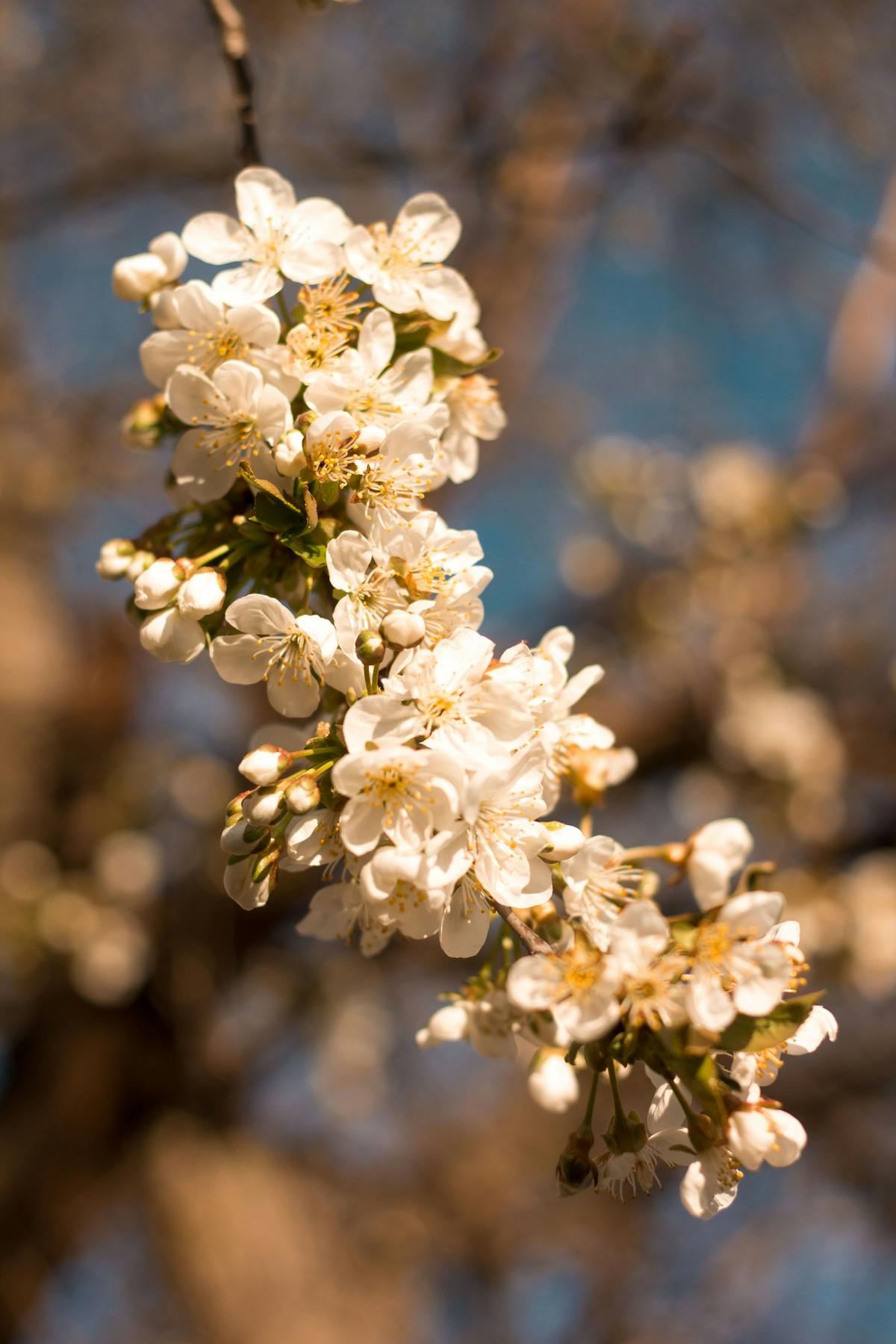 Friends sharing a snack board and drinks at a table