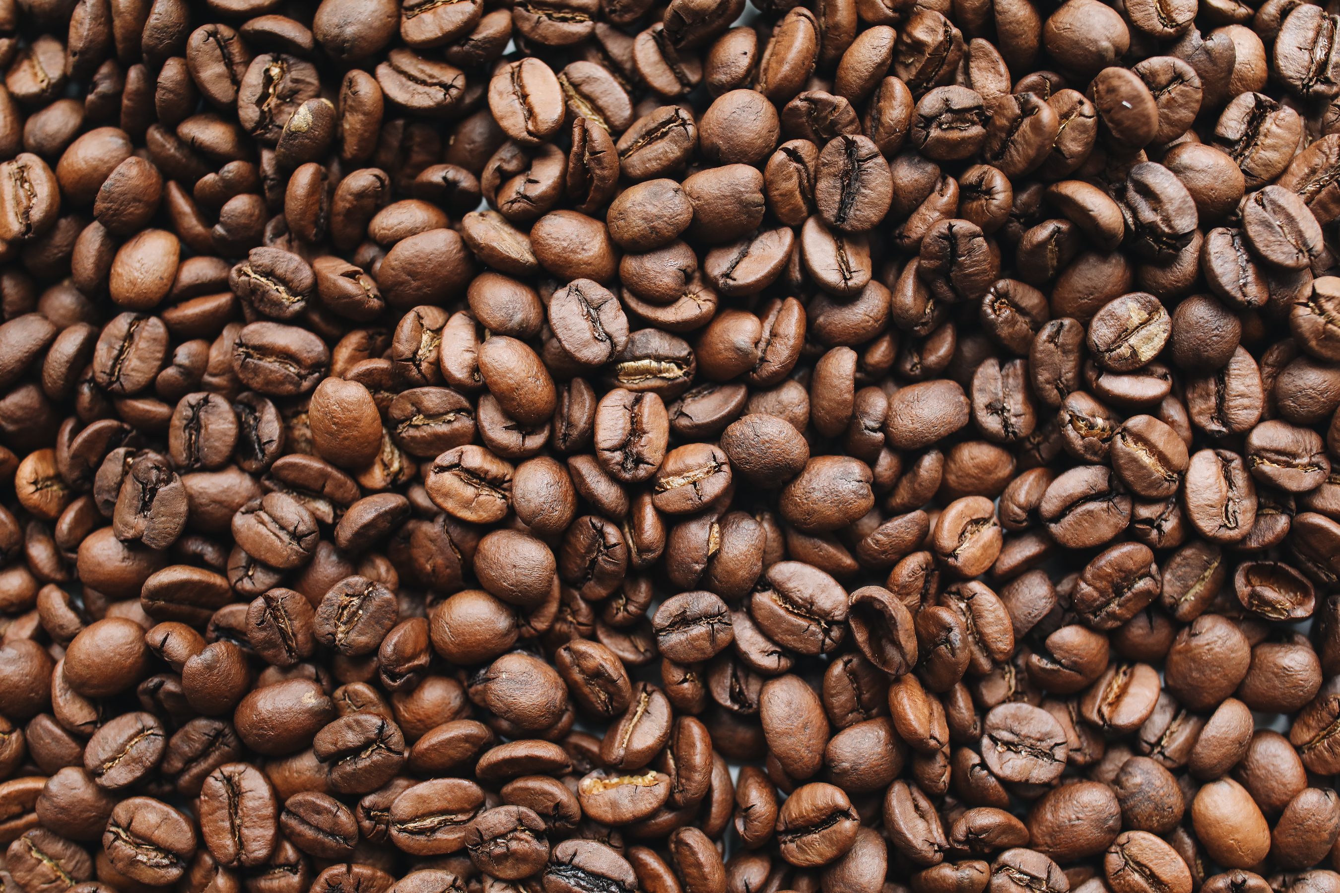 Specialty coffee shop in Geneva with V60 pour over filter brewing