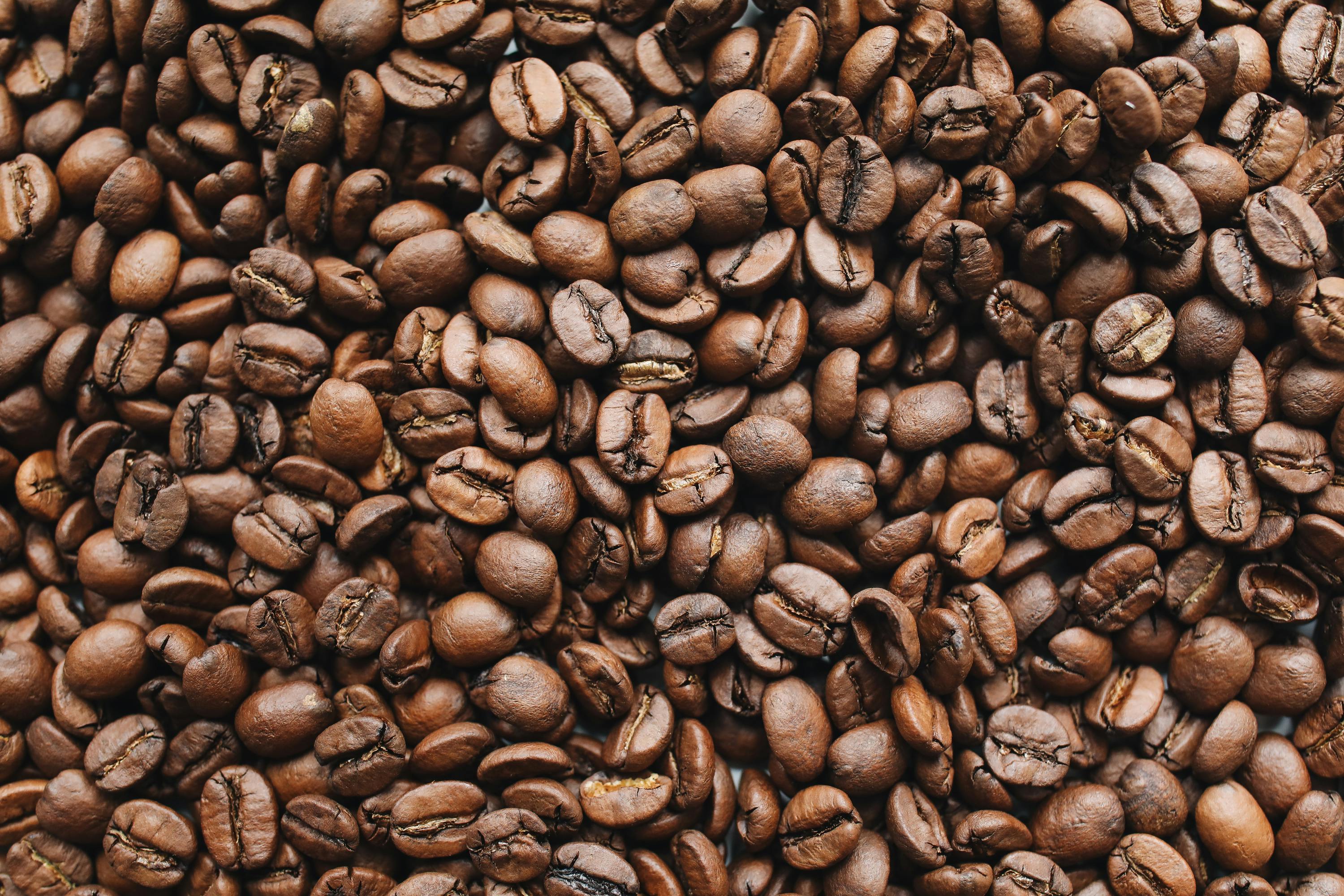 Brown Coffee Beans · Free Stock Photo