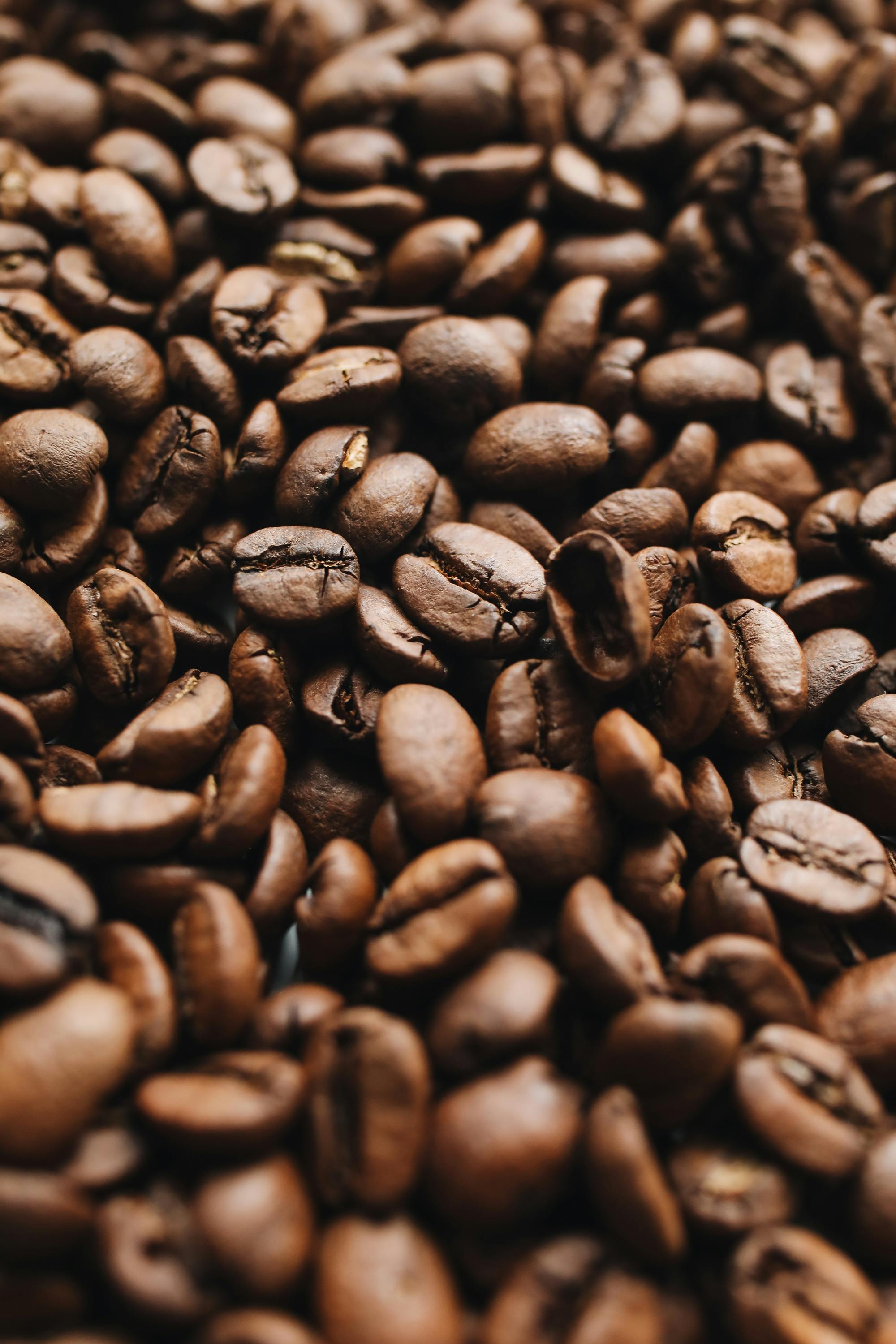 Coffee Beans Background  Gallery Yopriceville  HighQuality Free Images  and Transparent PNG Clipart