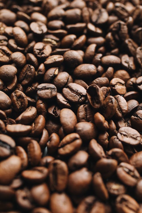 Free Coffee Beans in Close Up Photography Stock Photo