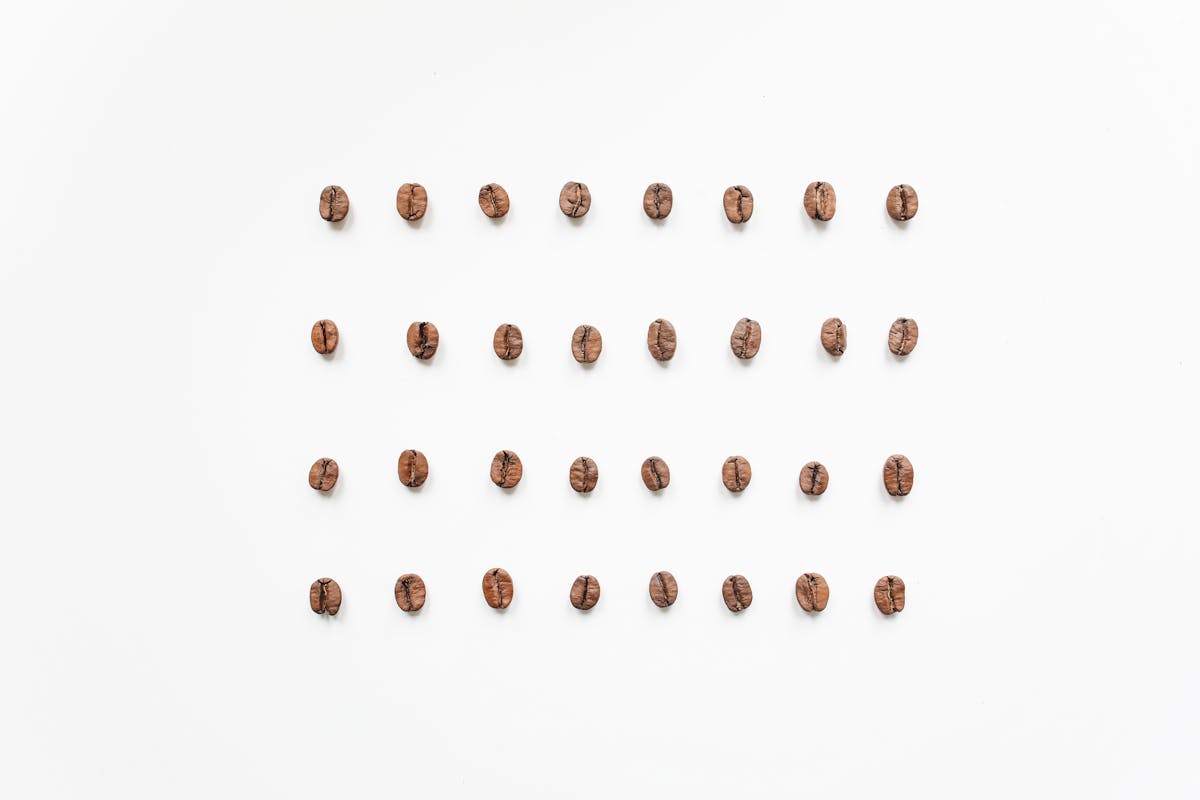 Top-down view of a latte with cocoa powder sprinkled on top and milk foam art