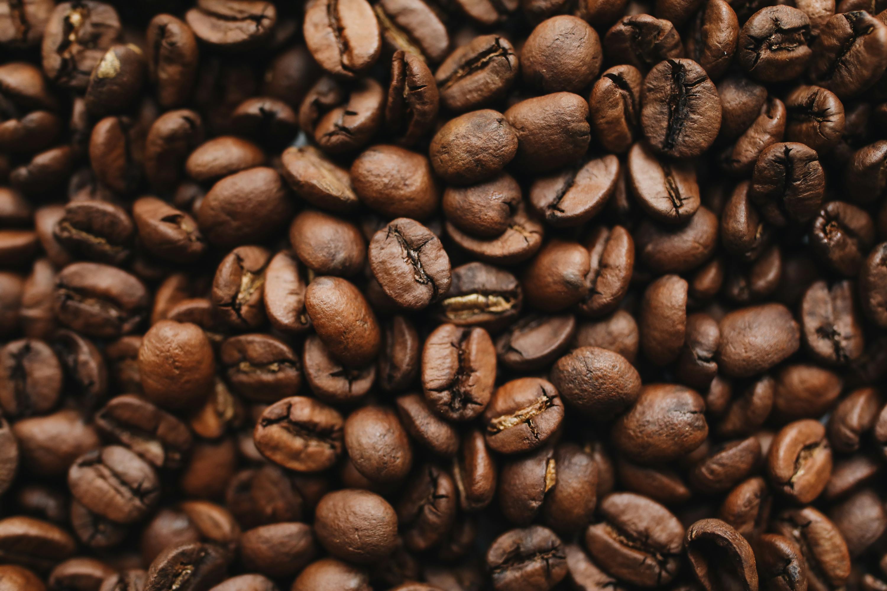 Coffee Beans Background Photos Download The BEST Free Coffee Beans  Background Stock Photos  HD Images