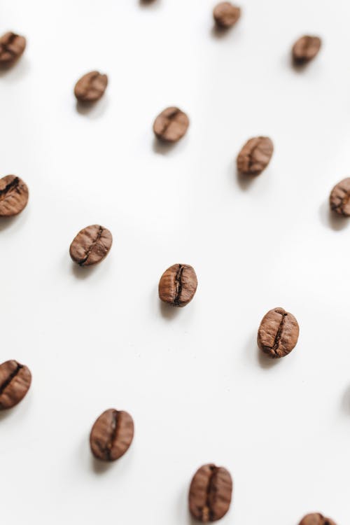 Free Brown Coffee Beans On White Surface Stock Photo