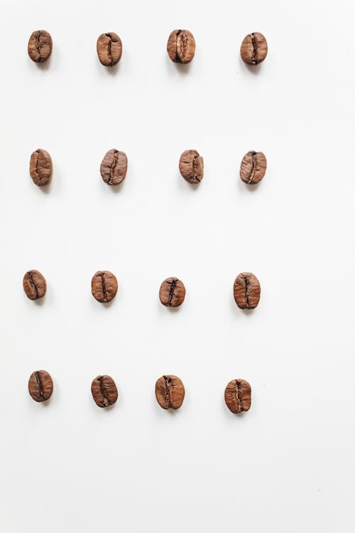 Free Coffee Beans on a White Background Stock Photo