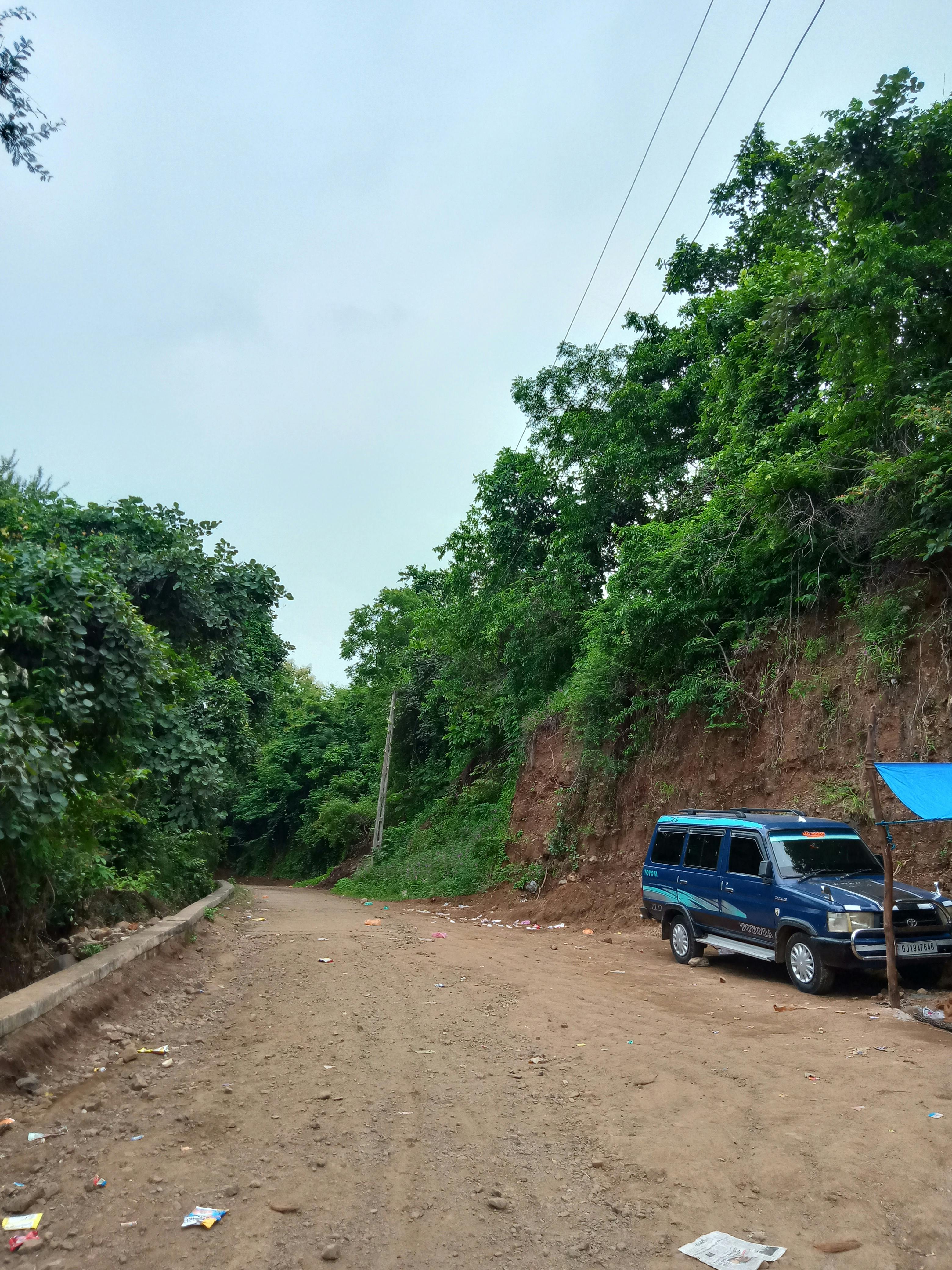 Top view of a table filled with colorful fruits, vegetables, and healthy foods