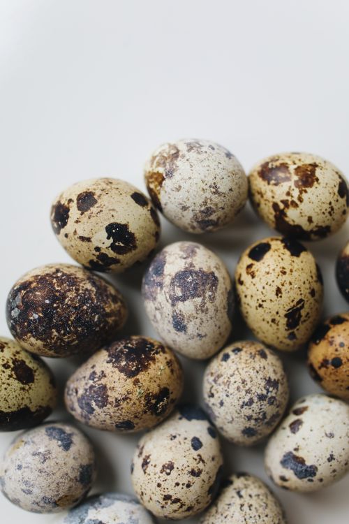 Free Top view of several quail eggs with speckled patterns on a white surface. Stock Photo