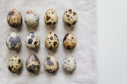 Photo Of Quail Eggs On Fabric Surface