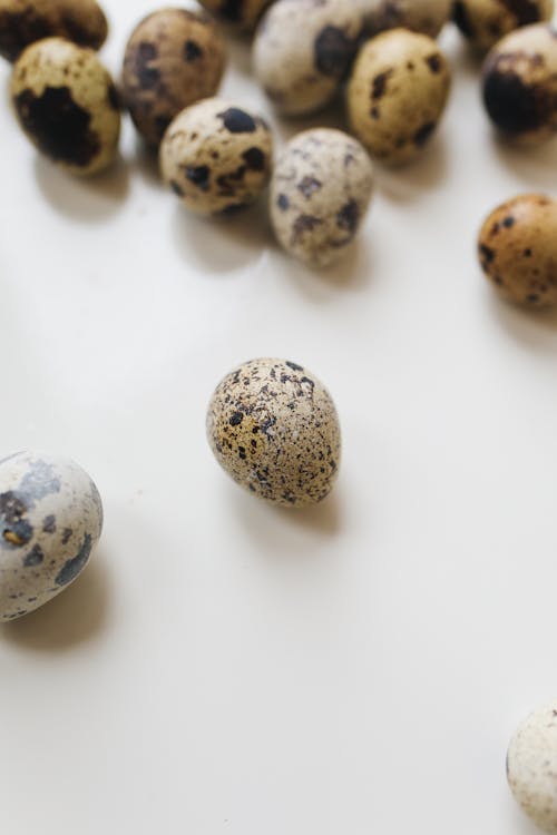 Close-Up Photo Of Quail Eggs