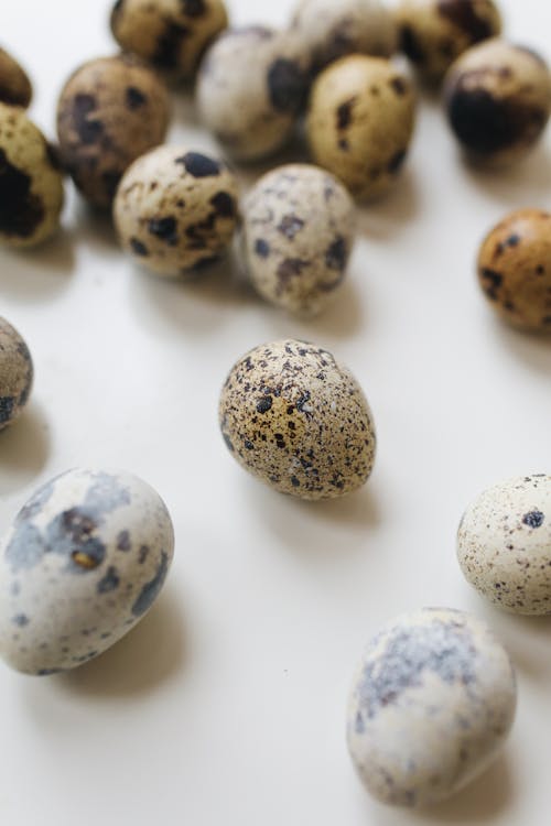 Close-Up Photo Of Quail Eggs