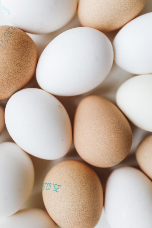 Free A detailed look at brown and white eggs arranged closely together, showcasing their textures. Stock Photo