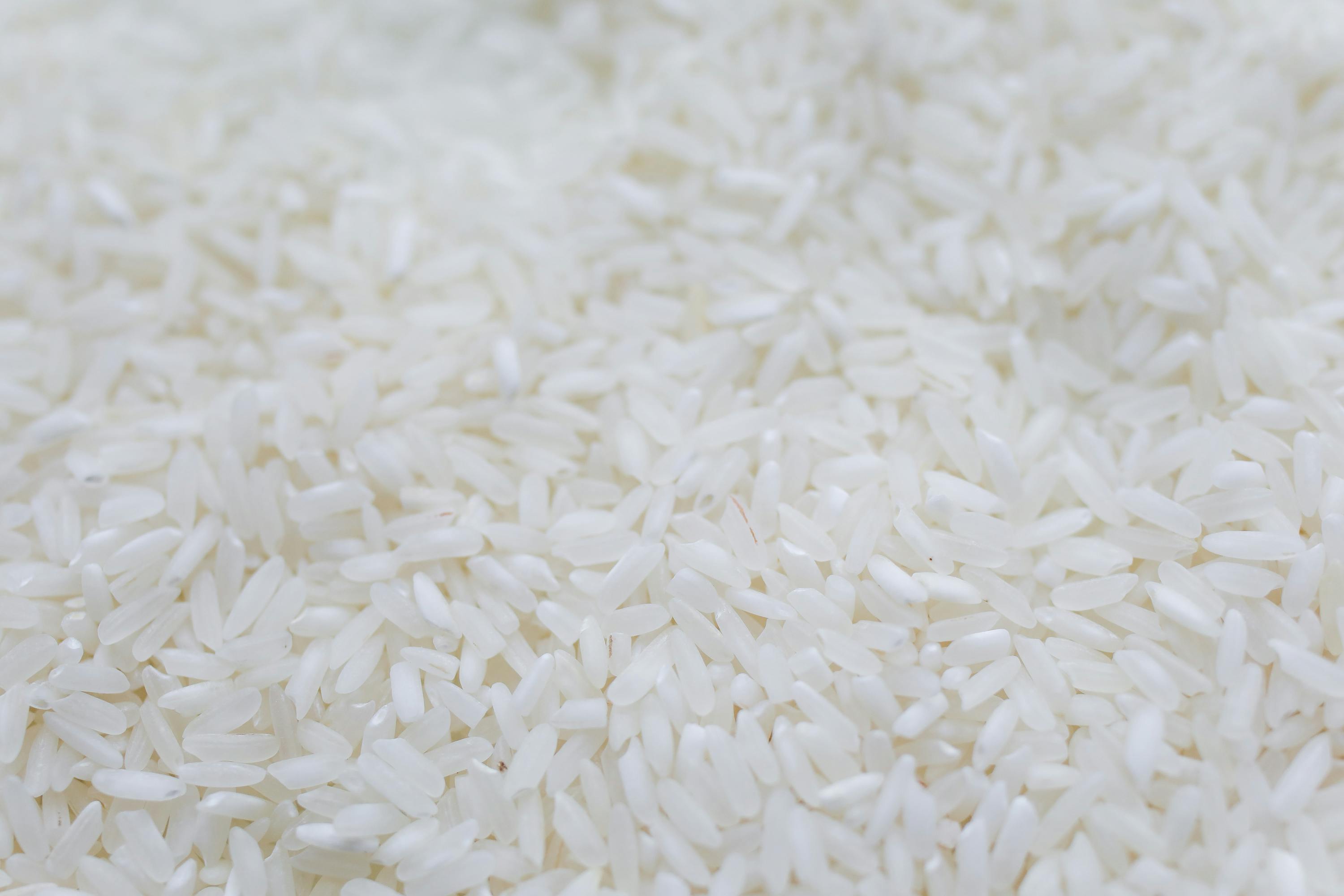 White Rice Images  Free Download on Freepik