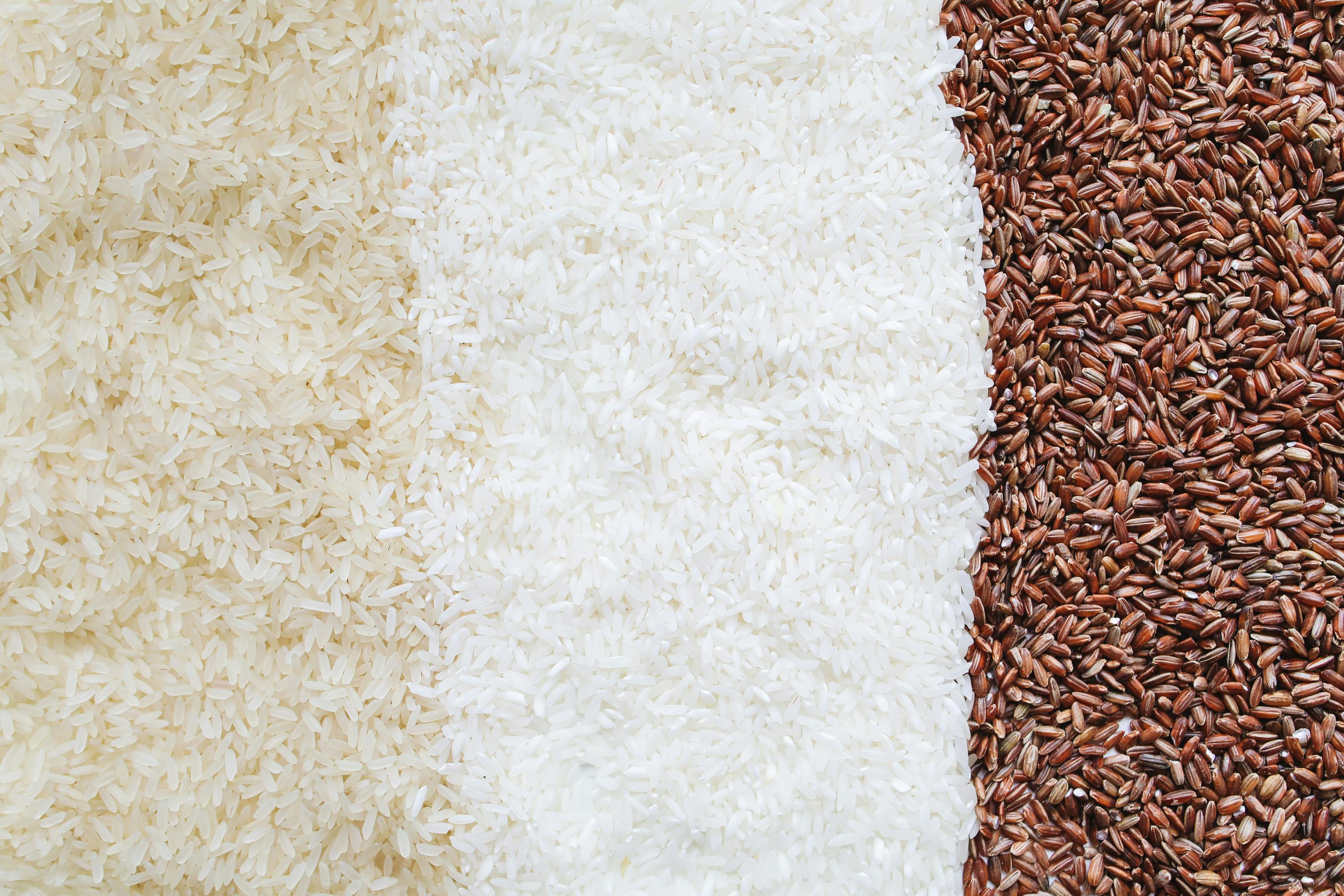 close up photo of assorted rice