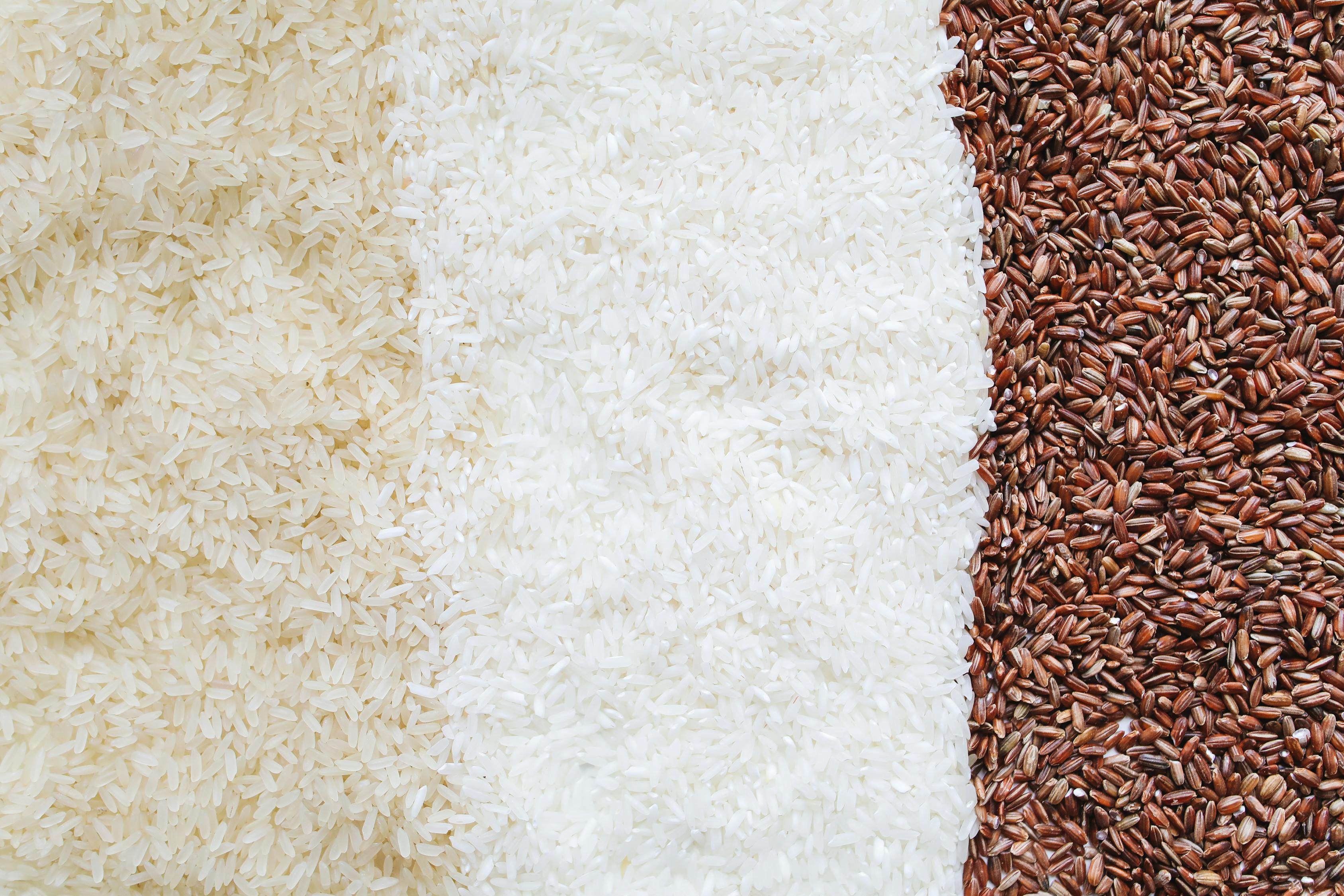 生活-飲食-有營食譜-營養師-紅米零食
