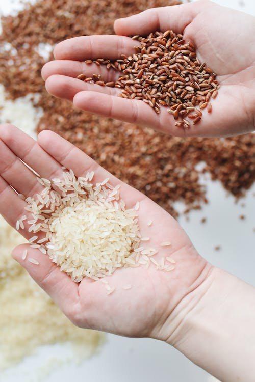 Close-Up Photo Of Rice On Person's Hand