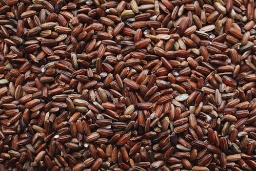 Macro shot of uncooked brown rice grains showcasing texture and natural color.