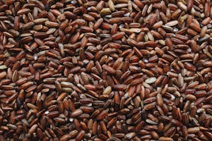 Close-Up Photo Of Brown Rice