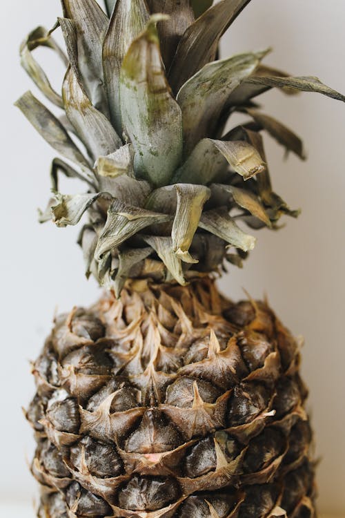 Free Close-Up Photo Of Pineapple Stock Photo