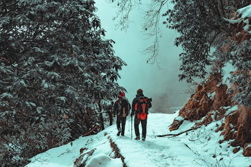 Men Walking on Snow Covered Ground Near Trees