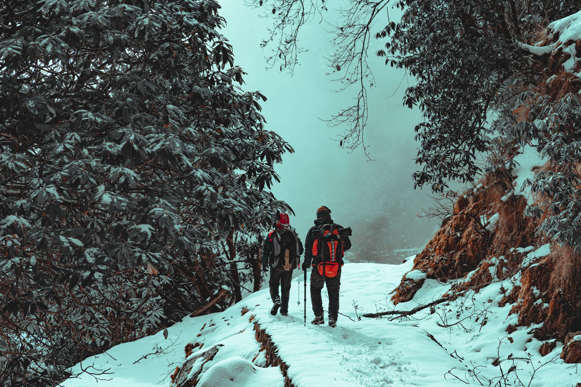Risico's en voorbereiding bij bergwandelen
