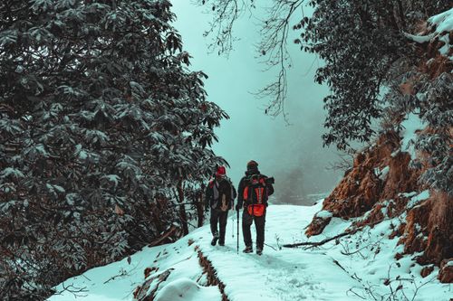 Free Two hikers on a snow-covered mountain trail surrounded by winter foliage. Stock Photo