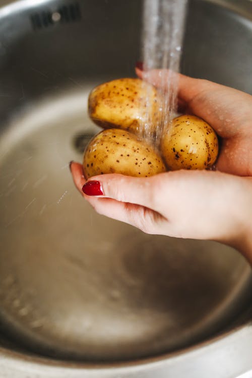 Free Photo Of Person Holding Potatoes Stock Photo