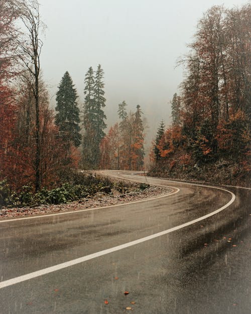 Curvy asphalt road among autumn forest in rain