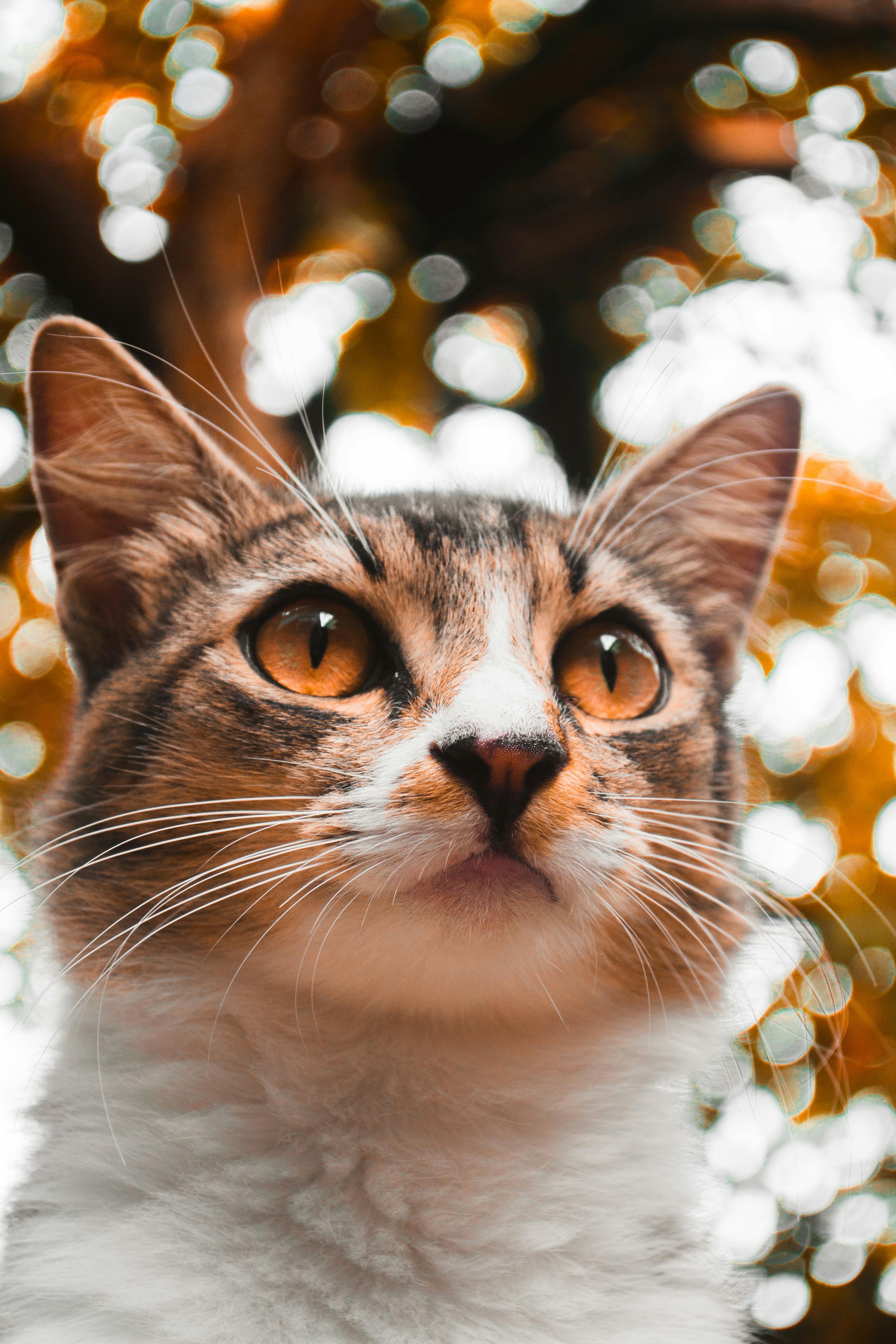 Person feeling relaxed and energized during an evening walk