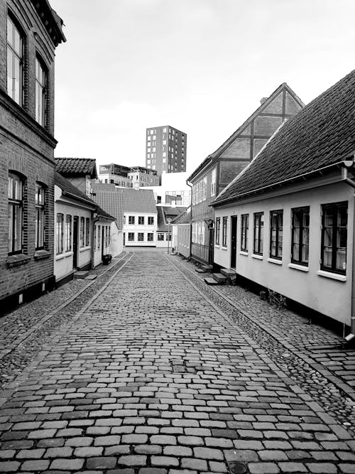 Grayscale Photo of An Empty Cobblestone Street