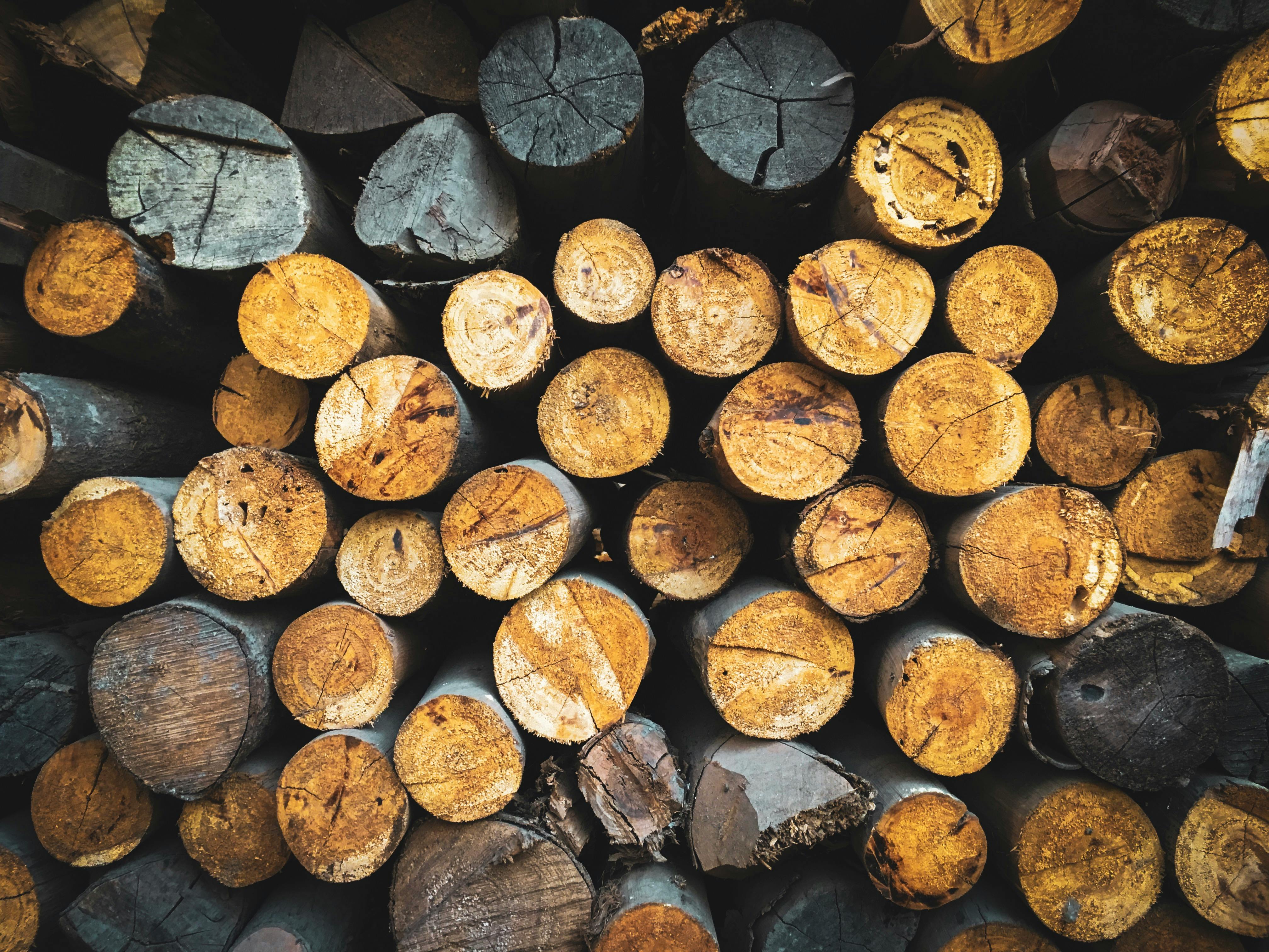 photo of wood logs