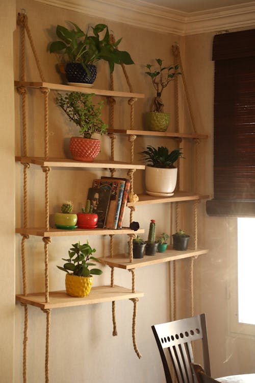 Plants on Wooden Shelves