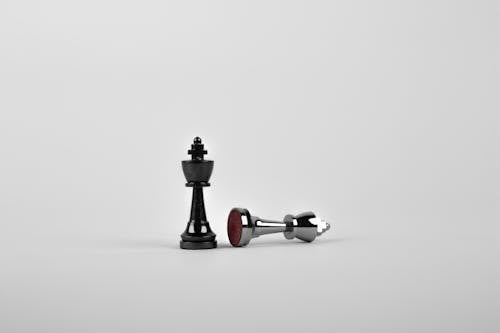무료 흰색 표면에 두 개의 실버 체스 조각 스톡 사진