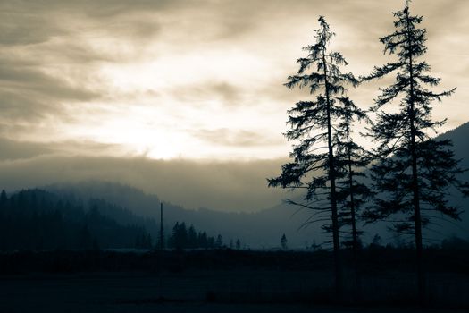 Foggy morning scene with silhouetted trees against the sunrise in Schönau am Königssee, Bavaria.