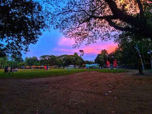 Бесплатное стоковое фото с вечер, голубое небо, дерево