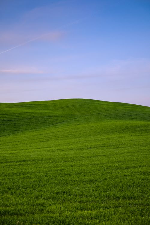 Rolling green hills beneath a calm sky — Matteo Badini on Pexels