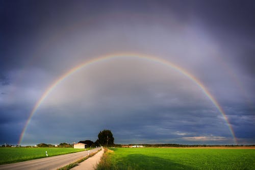Free stock photo of fields, rainbow