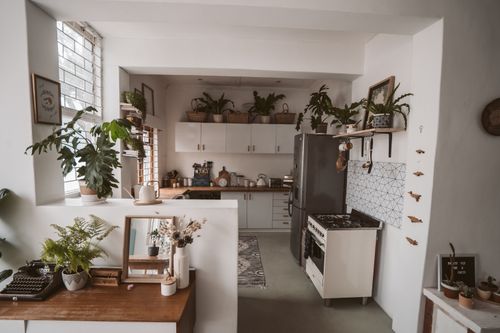 Free Bright minimalist kitchen with indoor plants and modern decor, perfect for home inspiration. Stock Photo