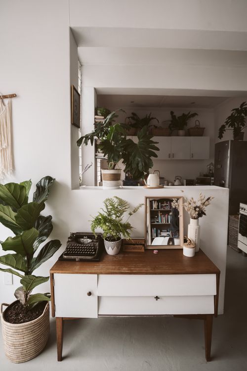 Free A minimalist home interior featuring green plants and stylish decor in a cozy setting. Stock Photo