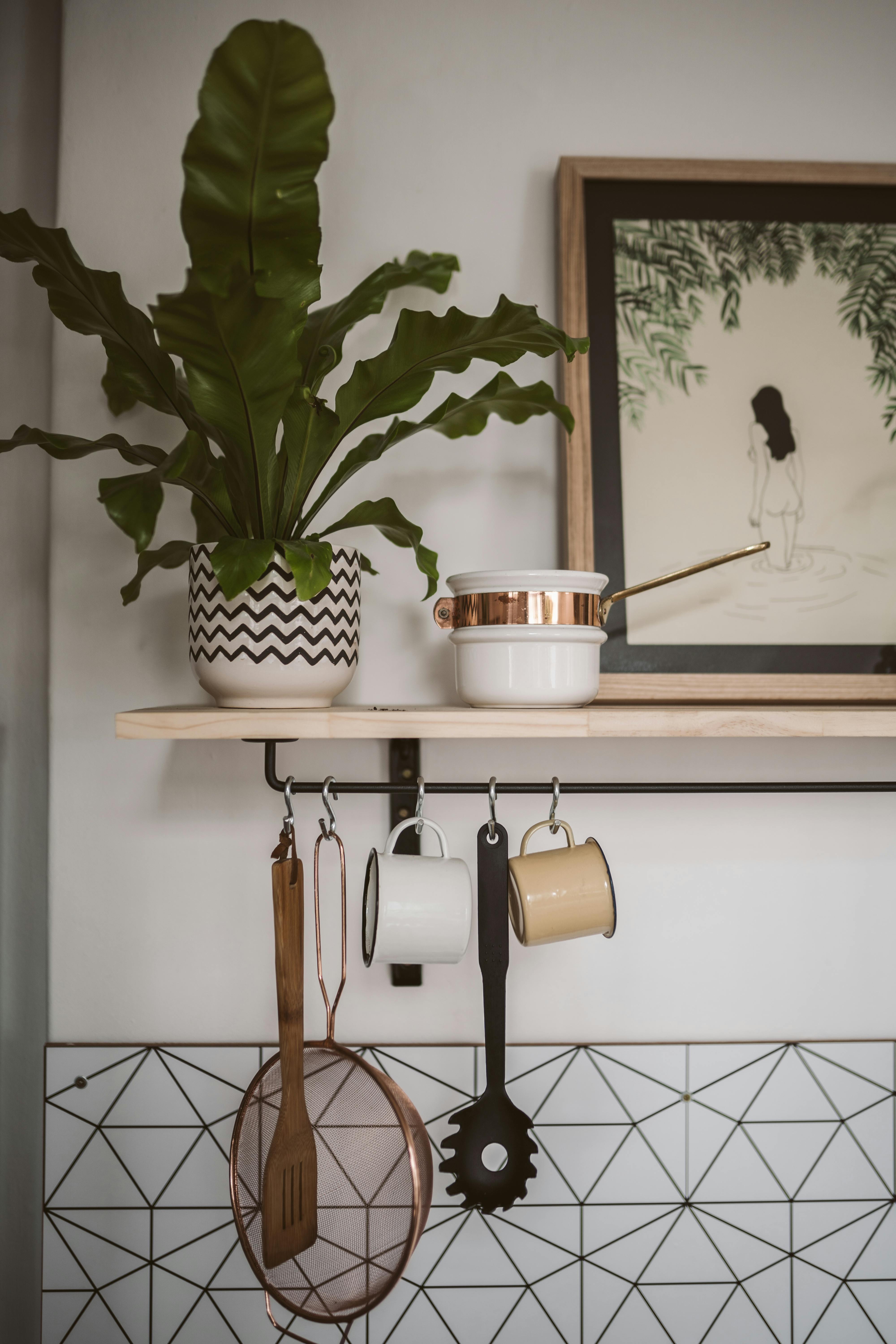 Chic kitchen shelf with plant, cookware, and utensils, ideal for stylish home decor inspiration.