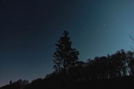 树木映衬在繁星的夜空下，捕捉奥地利自然的宁静之美